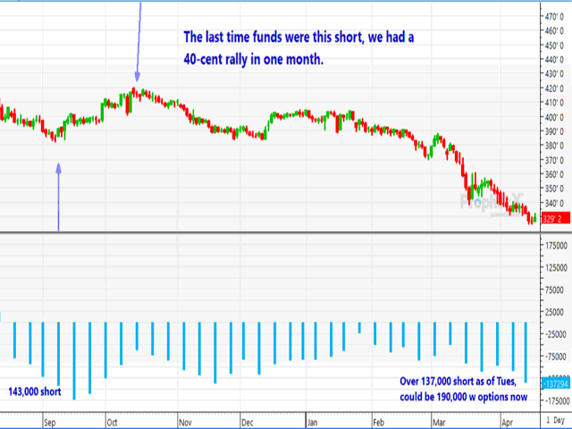 Corn is reaching its value level while funds are increasing their bearish bet, suggesting caution. (DTN chart by Dana Mantini)