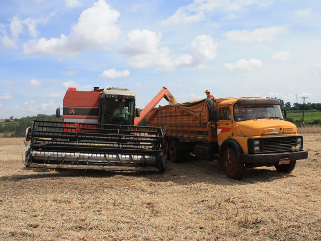 The soybean harvest is under way in Mato Grosso, Brazil, the No. 1 producing state in the center-west. (DTN file photo by Alastair Stewart)