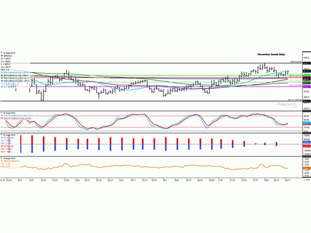 Canola reached a four-day high on Aug. 18, closing back above the contract&#039;s 20-day moving average after testing chart support last week. The first study shows the momentum indicators turning higher, while the bars on the second study continues to show commercial and noncommercial traders continuing to hold a relatively neutral futures position. (DTN ProphetX chart)