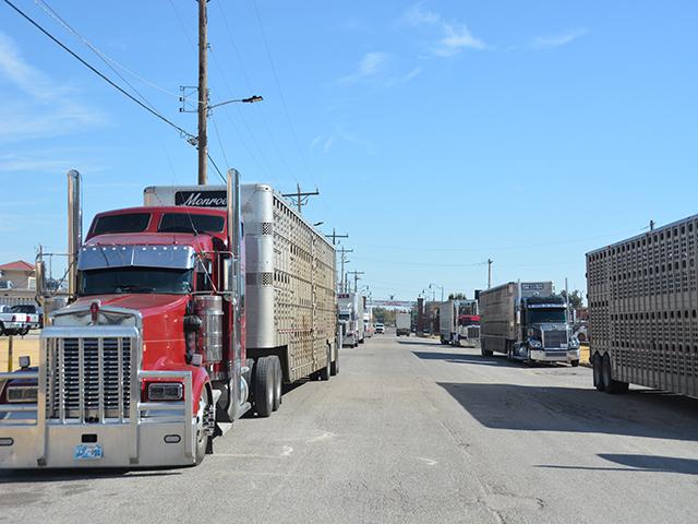 Local roads used by farmers and ranchers to get cattle and grain to market need to be kept in good shape to keep commerce moving smoothly. (DTN photo by Chris Clayton)