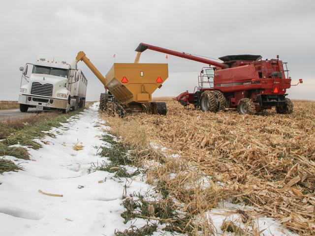Storm systems moving through this month are likely to hold up remaining harvest and fall fieldwork operations. (DTN file photo by Pamela Smith)