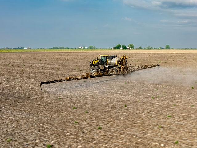 A new study examines the cost of losing glyphosate as legislative attempts to curtail use of the herbicide swirl. (Photo by Jim Baltz, University of Illinois Urbana-Champaign) 