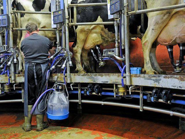 Ukraine dairy farmers are trying to keep their businesses afloat, but it is becoming nearly impossible to move milk because of the destruction of infrastructure in parts of Ukraine. Some dairy farms have been destroyed, while others struggle to keep farming. (Photo courtesy of eDairy News)