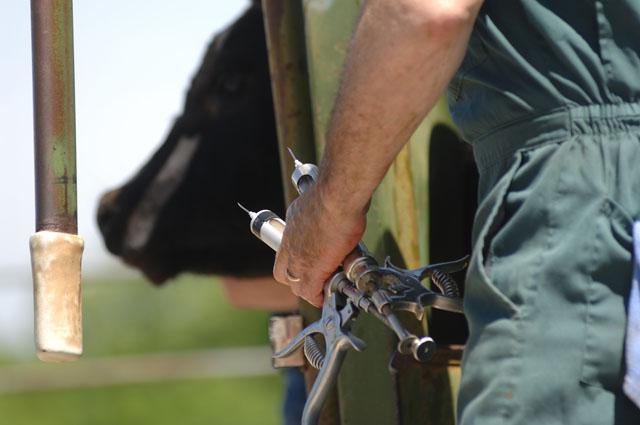 The Rural Veterinary Workforce Act would provide tax benefits to veterinarians who have student loan debt and choose to work in communities that are short of veterinarian services. (DTN file photo) 