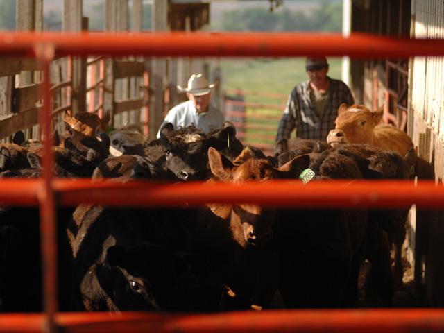 The fall season acts as an ending of one chapter and the beginning of another. (DTN file photo)