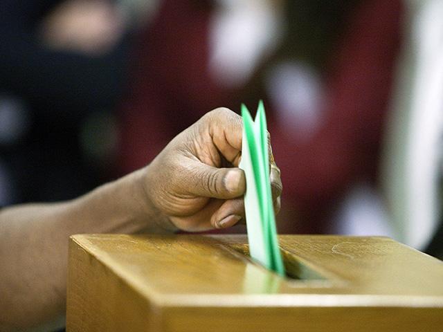 Voters in five states will decide whether to legalize recreational marijuana. Right now, 19 states and the District of Columbia allow legal use without a prescription. A new industry report cites that legal cannabis is now the sixth-biggest cash crop in the country. (DTN file photo) 