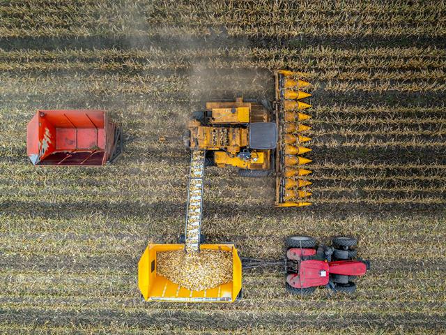 Hybrid How-To is the cover story of the September 2024 issue of Progressive Farmer, and one of the many stories in the special seed package in that issue. We&#039;re beginning to share those pieces on our digital platforms this week. (DTN/Progressive Farmer photo by Jason Jenkins)
