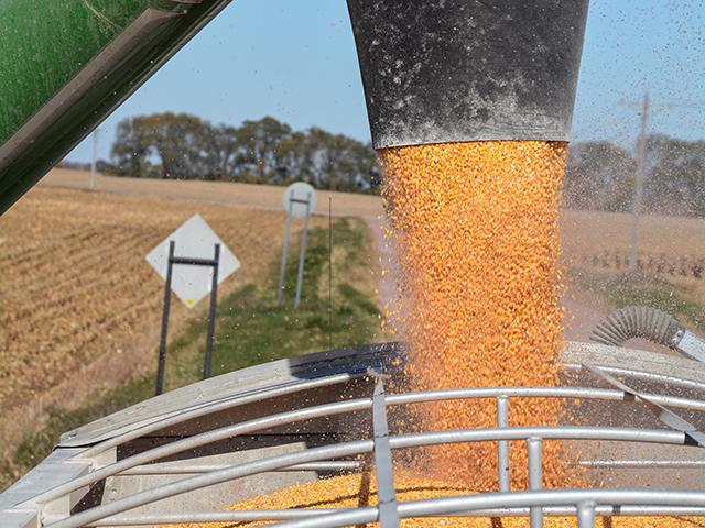 As non-land costs go up for corn producers, they&#039;ll be left with a much thinner profit outlook than corn prices might suggest. (DTN/Progressive file photo by Matthew Wilde)