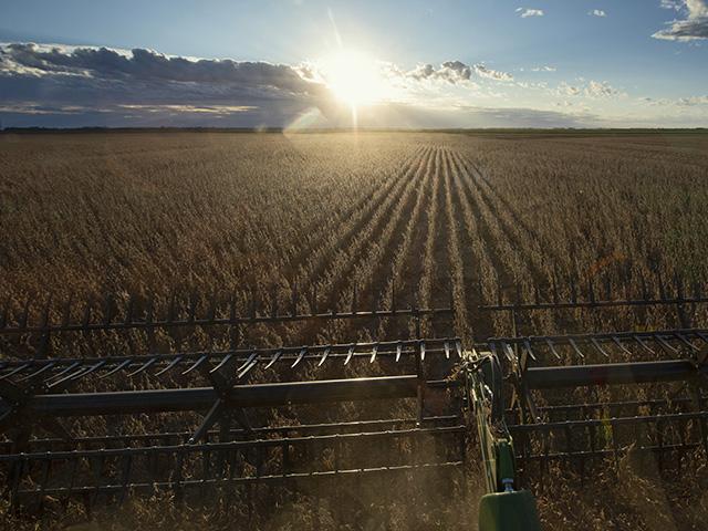 What&#039;s your view of the coming year? Each season DTN selects two farmers from different geographies to tell their stories throughout the season. (DTN photo by Joel Reichenberger)