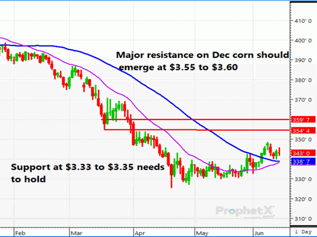 This daily chart represents December corn, which will likely have major resistance or selling 10 cents to 15 cents above Friday&#039;s close. Only a major weather issue ahead of pollination, which does not appear likely yet, will force funds to abandon their large net-short position and rally this market. If weather continues to be favorable, a trend or above yield looks very likely. (DTN ProphetX chart)