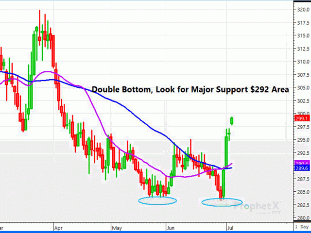 The above daily chart represents August soybean meal and while the double bottom at the $283 area looks like it will be tough to crack, good support exists above at $290-$292 and again at $287. (DTN ProphetX chart) 