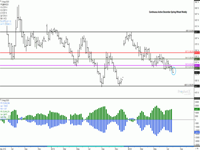 Dec MGEX HRS lost 4 1/4 cents on Tuesday to close at $5.16 per bushel (bu), reaching a fresh contract low. The continuous December chart shows little in the way of chart support down to the weekly lows reached in Aug/Nov 2019 of $4.86 1/2 to $4.88/bu. The lower study shows commercial traders growing their net-long futures position as of July 28 (green bars), while noncommercial traders grew their net-short position (blue bars). (DTN ProphetX chart)