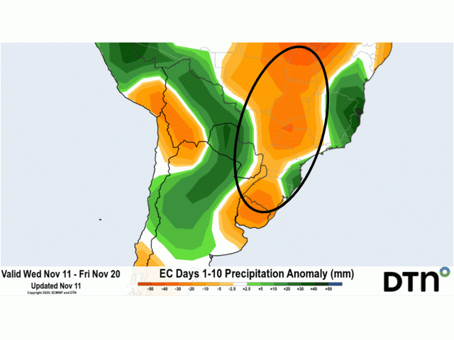 The European forecast model shows rainfall totals in the Brazil likely to run 1 to 2 inches below normal through Nov. 20. (DTN graphic)