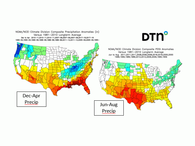 Either continued dryness or developing dryness are featured in analog central U.S. precipitation patterns during the 2021 crop year. (DTN graphic)