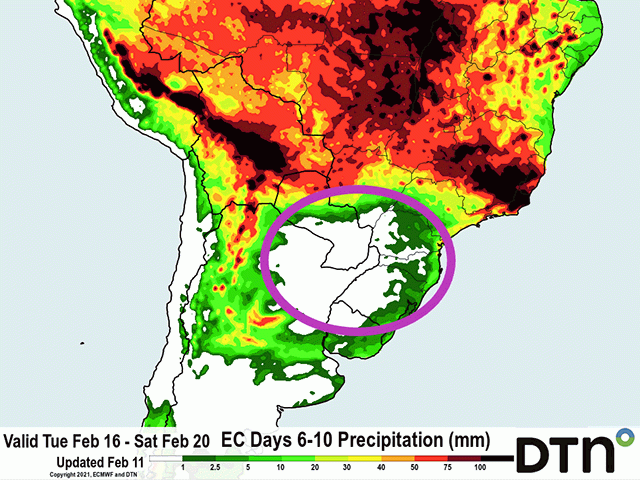 Southern Brazil forecast conditions after Feb. 15 turn drier, favoring soybean harvest and safrinha corn planting. (DTN graphic)
