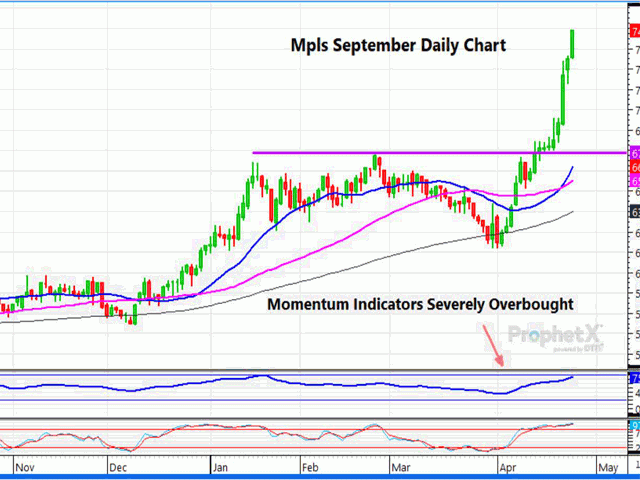 The chart above is a daily chart of new-crop Minneapolis September wheat futures, which, despite ongoing drought concerns, is by any measure overbought on popular momentum indicators. (DTN ProphetX chart)