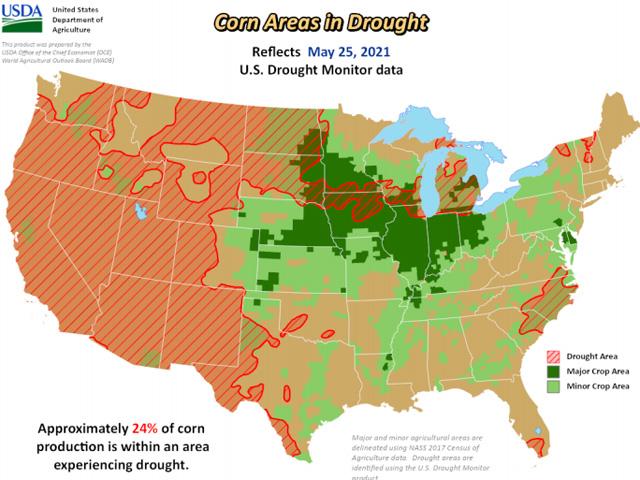 A large majority of the corn acreage in the Dakotas and Michigan have drought in effect going into summer. (USDA graphic)