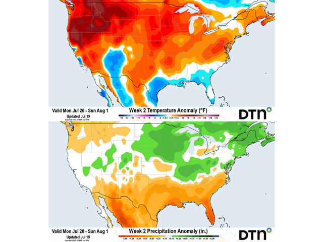 Temperatures are forecast to go above normal for most of the country next week while there will be chances for rain for those that need it most. (DTN graphic)