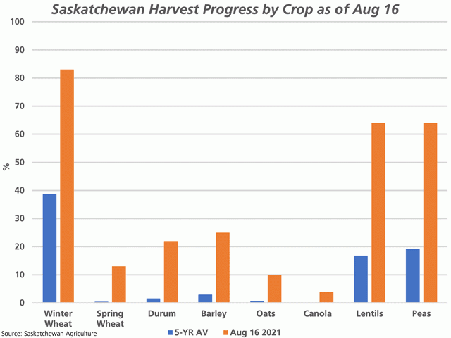 The brown bars represent the estimated pace of Saskatchewan harvest by crop as of Aug. 16, compared to the five-year average. (DTN graphic by Cliff Jamieson)
