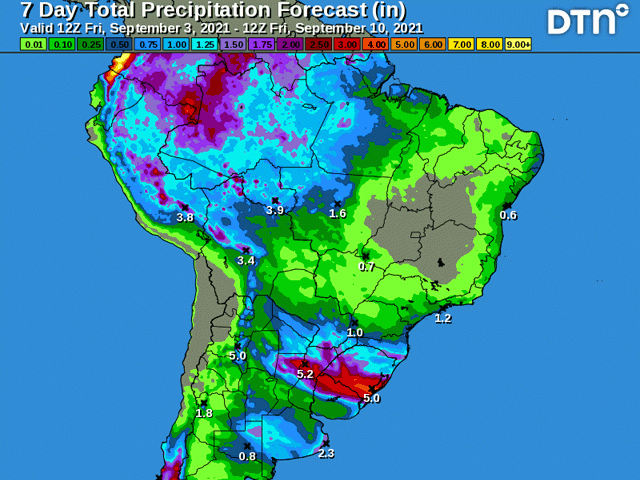More rains are indicated for the main winter wheat areas in Argentina and southern Brazil. (DTN graphic)