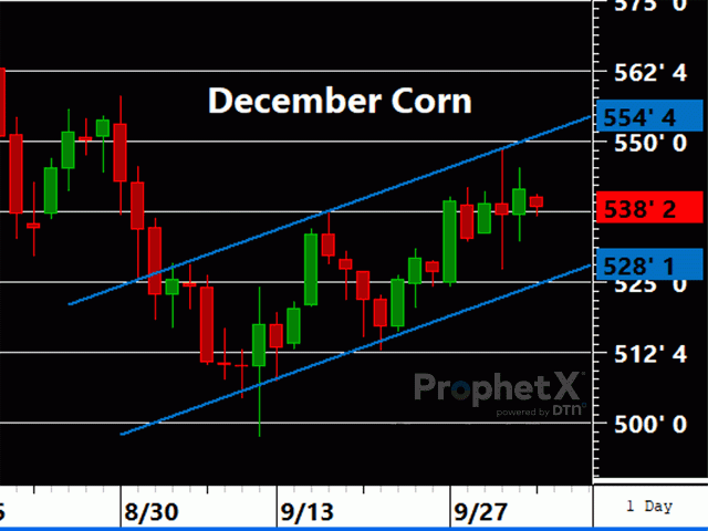 December corn continues to ride the ascending trend channel higher, keeping short and intermediate term trends up. (DTN ProphetX chart)