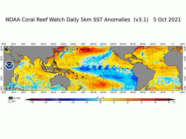 Pacific Ocean equator temperature analysis points to continued cooling to strong La Nina levels. (NOAA graphic)