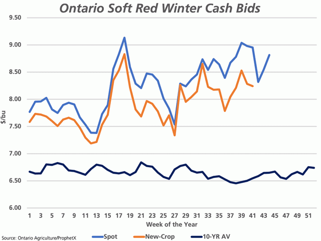 The light blue line represents the weekly soft red winter wheat spot price for Ontario, reported by the government through 41 weeks and projected forward using ProphetX cash data, in CAD/mt. The brown line represents the new-crop bid, defined as the price for new crop one year forward. The lower black line represents the 10-year average SRW price. (DTN graphic by Cliff Jamieson)