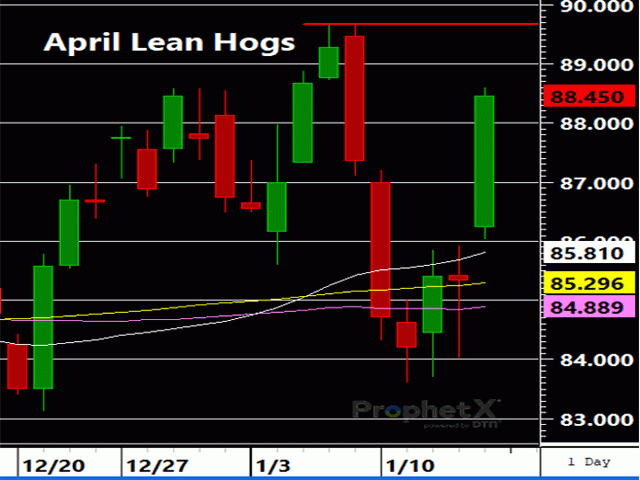 April lean hogs looks headed for a test of resistance at 89.65-89.675. (DTN ProphetX chart)