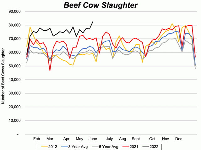 So far in 2022, 1,573,100 beef cows have been slaughtered in the U.S., 14% or 199,200 head more than what had been processed at this time in 2021, and 28% (346,880 head) more than the market&#039;s five-year average for this time of year. (DTN chart by ShayLe Stewart)