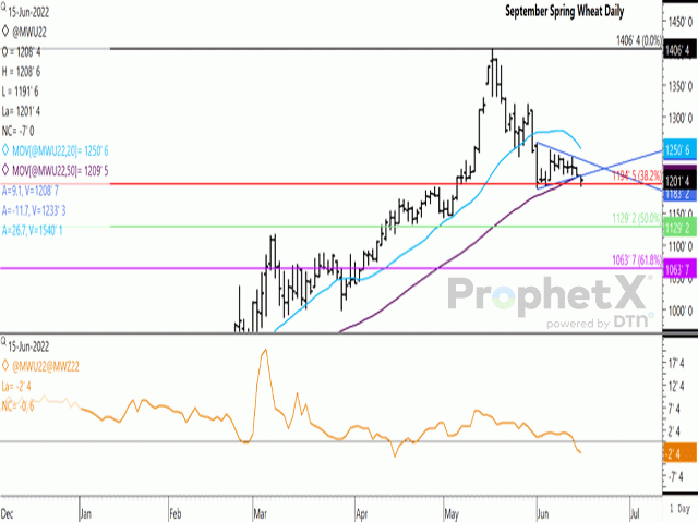 September MGEX hard red spring saw a breakout lower from the chart consolidation pattern traded since June 1, while also closing below the contract&#039;s 50-day moving average. At the same time, this contract held above $12/bu, as well as the 38.2% retracement of the move from the January low to May high. The lower study shows the Sept/Dec spread moving to a carry market in recent trade. (DTN ProphetX chart)