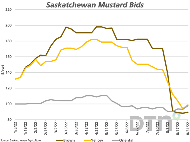 Weekly price data from Saskatchewan Agriculture shows brown, yellow and oriental mustard bids delivered to Saskatchewan plants increasing during the past week as harvest advances and following Statistics Canada&#039;s production estimates. (DTN graphic by Cliff Jamieson)