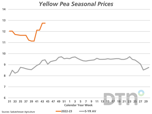 The brown line represents the dollars/bushel price of yellow peas delivered to Saskatchewan plants, starting at week 31 or early August. The grey line represents the five-year average bid for each calendar year week. (DTN graphic by Cliff Jamieson)
