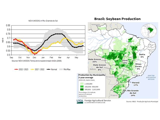 Normalized Difference Vegetation Index (NDVI), a measure of crop health, has been declining over the state of Rio Grande do Sul, Brazil for the last several months, falling to some of its lowest readings on record in recent days. The state accounts for about 14% of soybean production in Brazil. (USDA/NOAA graphics)