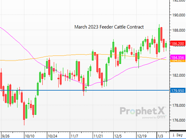 Given the strong fundamental outlook in the cattle market, and how traders are currently supporting both the live cattle and feeder cattle contracts, bullish tones are bolstering the market. (DTN ProphetX chart by ShayLe Stewart)