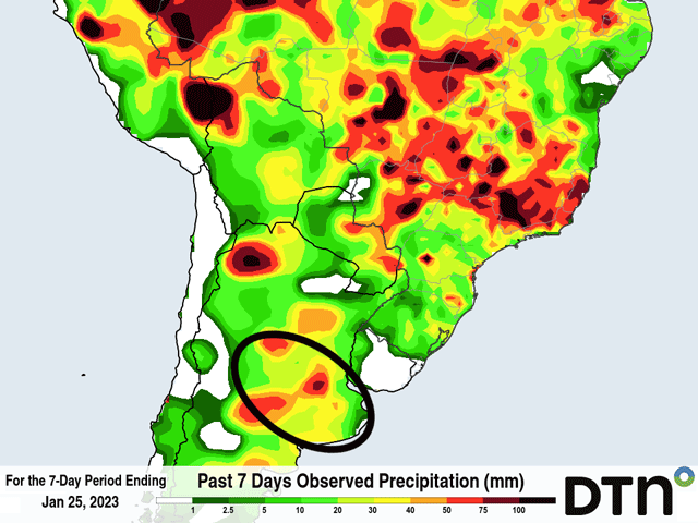 Rainfall during the last week in the Pampas region of Argentina (circled in black) has been enough to provide a boost to crop conditions for corn and soybeans, but more is needed. (DTN graphic)