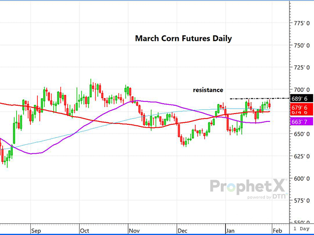 This is a daily chart of March corn futures. The recent high at $6.88 3/4 was again able to rebuff the corn advance, with March slipping from there. The market does appear to be getting a bit overdone and demand remains tepid. (DTN ProphetX chart by Dana Mantini)