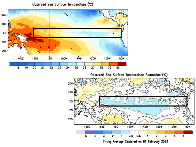 Sea-surface temperatures in the Pacific Ocean, boxed in black, have been rising for the last few weeks. The pool of cool water that signifies La Nina is slowly fading away. (NOAA graphic)