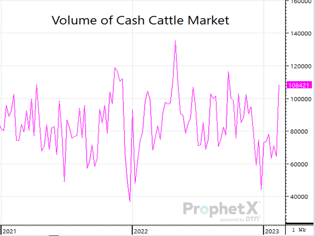 This week&#039;s cash cattle market should trade at least steady, but it&#039;s unlikely the market will again see a $4.00 advancement as packers have somewhat protected themselves from having to abundantly support the cash market. (Photo by ShayLe Stewart)