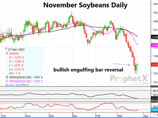 The chart above is a daily chart of November 2023 soybean futures, reflecting a possible bullish reversal signal Friday. (DTN ProphetX chart by Dana Mantini)