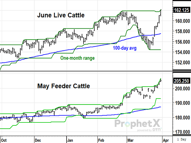 On March 15, 2023, the uptrend in June live cattle prices was interrupted by noncommercial selling related to news of U.S. bank failures, while May feeder cattle prices stayed true to their uptrend. Both finished strong in March, but the bullish performance of feeder cattle relative to live cattle is historically interesting at a time when live cattle supplies are tight (DTN ProphetX chart).