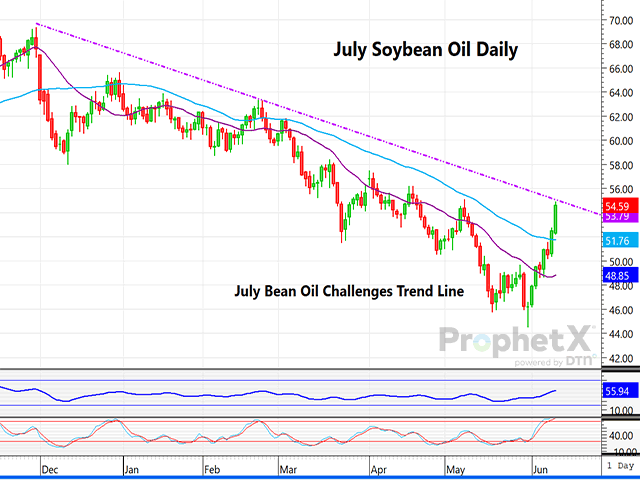 This is a daily chart of July 2023 soybean oil futures and shows Friday&#039;s close to be just under a long-term trendline that began in early November. (DTN ProphetX chart) 