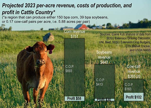 The math would work out differently for regions with significantly better or worse crop yield potential, but for a particular streak of the Plains, which historically can go to either rangeland or crops, 2023 projections look more favorable for cow-calf pairs than for grain production. (DTN graphic by Elaine Kub)