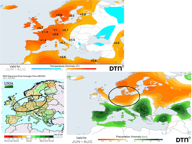 Large grain-growing areas of northern Europe have reduced vegetation health versus normal due to dryness in late spring-early summer. DTN forecasts for the rest of the summer have this sector warm and dry with questions about potential reduction in the continent&#039;s wheat crop. (USDA and DTN graphics)