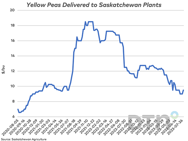 Saskatchewan Agriculture reports an increase in the average bids for yellow peas delivered to Saskatchewan facilities, just as harvest is getting under way. (DTN graphic by Cliff Jamieson)