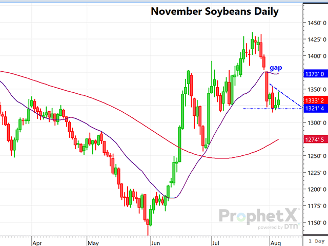 This is a daily chart of new-crop November soybeans with what appears to be a possible bear-flag chart pattern setting up. (DTN ProphetX chart by Dana Mantini)