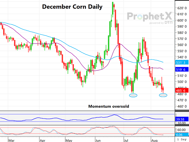 This is a daily chart of new-crop December corn after Monday morning&#039;s match of the contract low. (DTN Prophetx chart by Dana Mantini)