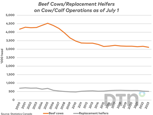 Statistics Canada estimates the number of beef cows on cow-calf operations fell by 57,500 head, or 1.8%, during the last year as of July 1 to 3.1 million head. The number of replacement heifers on these operations fell by 12,900 head, or 2.5%, to 512,900 head. (DTN graphic by Cliff Jamieson)