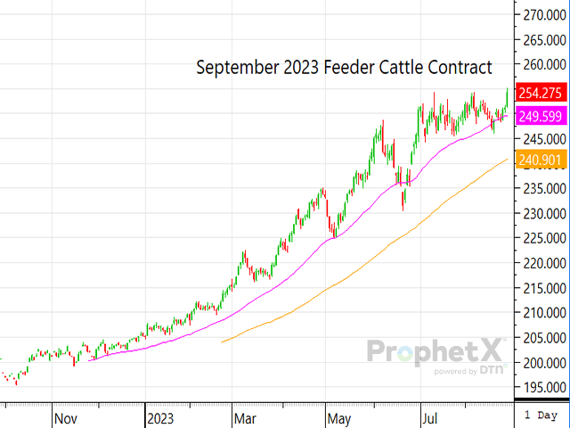 The feeder cattle contracts scored new life of contract highs by Monday&#039;s end, as traders continue to buy into the strong fundamental outlook of the market. (DTN ProphetX chart by Shayle Stewart)