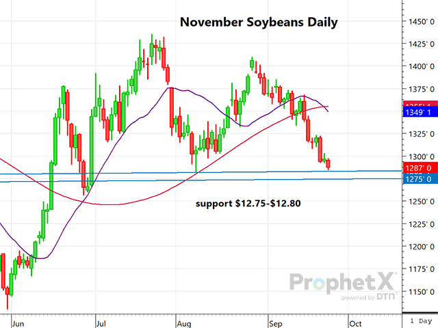 This is a daily chart of November soybeans, which shows the next good support level down at $12.75-$12.80. (DTN chart by Dana Mantini)