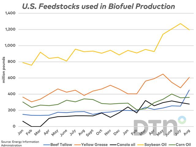 Monthly Energy Information Administration data in the U.S. shows that among the largest feedstocks used in biodiesel and renewable diesel production in August, use of soybean oil and canola oil fell in August while use of beef tallow, yellow grease and corn oil increased. (DTN graphic by Cliff Jamieson)